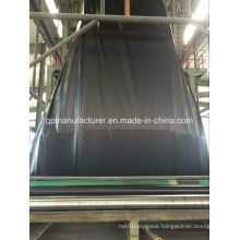 Salf Project Geomembrane